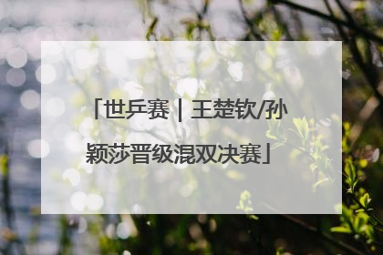 世乒赛｜王楚钦/孙颖莎晋级混双决赛