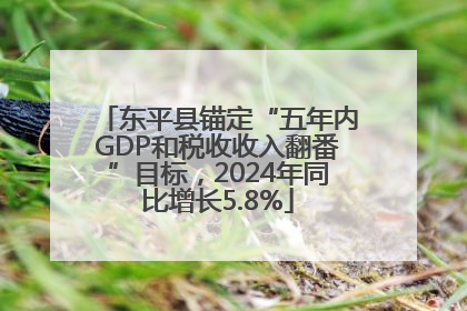 东平县锚定“五年内GDP和税收收入翻番”目标，2024年同比增长5.8%