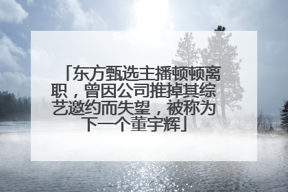 东方甄选主播顿顿离职，曾因公司推掉其综艺邀约而失望，被称为下一个董宇辉
