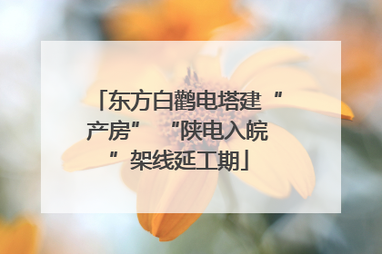 东方白鹳电塔建“产房” “陕电入皖”架线延工期