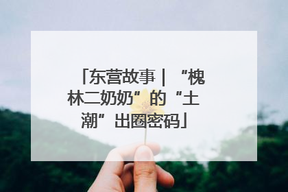 东营故事｜“槐林二奶奶”的“土潮”出圈密码