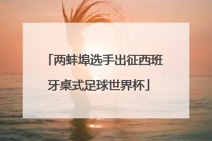 两蚌埠选手出征西班牙桌式足球世界杯
