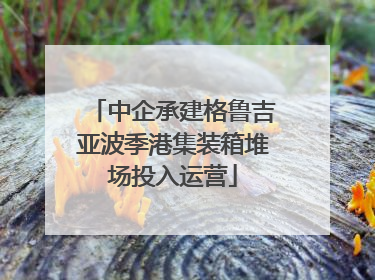 中企承建格鲁吉亚波季港集装箱堆场投入运营