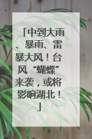 中到大雨、暴雨、雷暴大风！台风“蝴蝶”来袭，或将影响湖北！