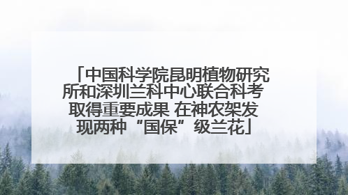 中国科学院昆明植物研究所和深圳兰科中心联合科考取得重要成果 在神农架发现两种“国保”级兰花