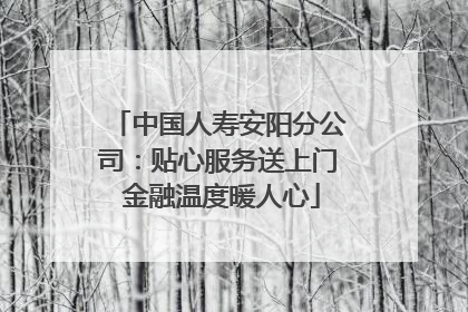 中国人寿安阳分公司：贴心服务送上门 金融温度暖人心