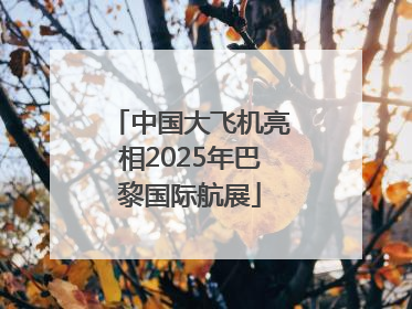 中国大飞机亮相2025年巴黎国际航展
