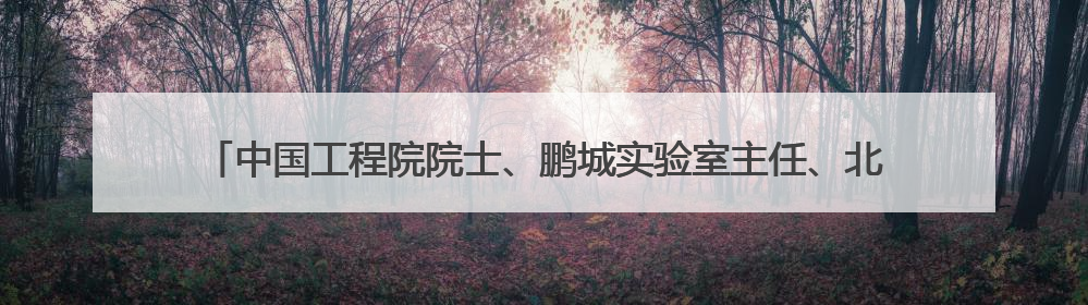 中国工程院院士、鹏城实验室主任、北京大学博雅讲席教授高文：“以人为本 智能向善” 推动文化与科技相生相促｜聚焦2025文化强国建设高峰论坛