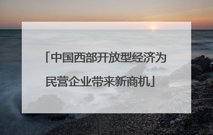中国西部开放型经济为民营企业带来新商机