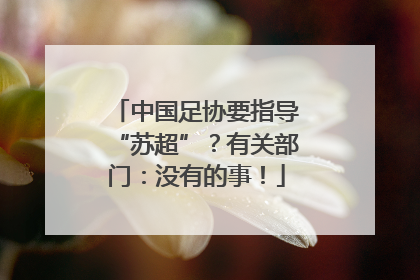 中国足协要指导“苏超”？有关部门：没有的事！