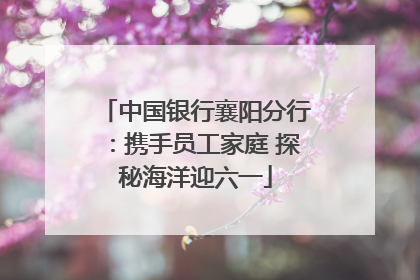 中国银行襄阳分行：携手员工家庭 探秘海洋迎六一