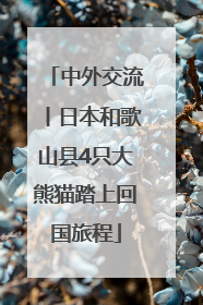 中外交流丨日本和歌山县4只大熊猫踏上回国旅程