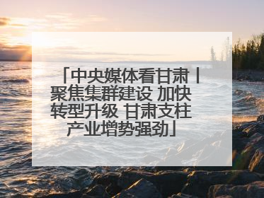 中央媒体看甘肃丨聚焦集群建设 加快转型升级 甘肃支柱产业增势强劲