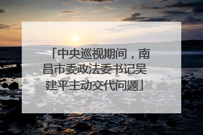 中央巡视期间，南昌市委政法委书记吴建平主动交代问题