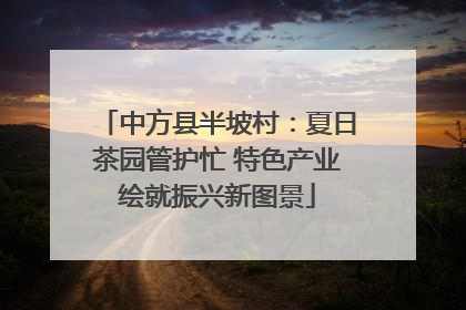 中方县半坡村：夏日茶园管护忙 特色产业绘就振兴新图景