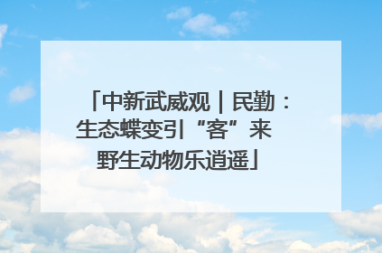 中新武威观｜民勤：生态蝶变引“客”来 野生动物乐逍遥