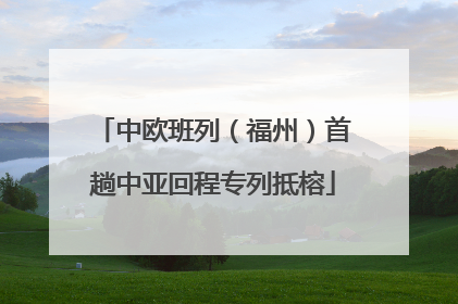 中欧班列（福州）首趟中亚回程专列抵榕