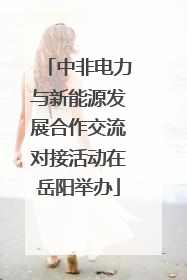 中非电力与新能源发展合作交流对接活动在岳阳举办