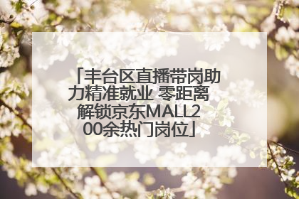 丰台区直播带岗助力精准就业 零距离解锁京东MALL200余热门岗位