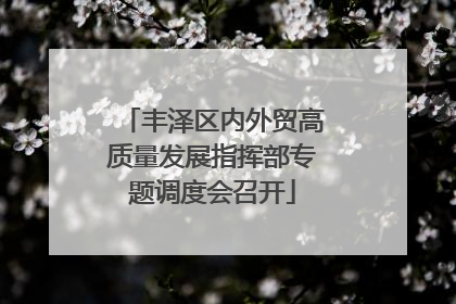 丰泽区内外贸高质量发展指挥部专题调度会召开