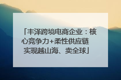 丰泽跨境电商企业：核心竞争力+柔性供应链 实现越山海、卖全球
