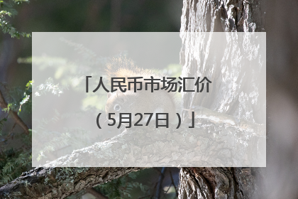人民币市场汇价（5月27日）
