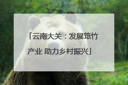 云南大关：发展筇竹产业 助力乡村振兴