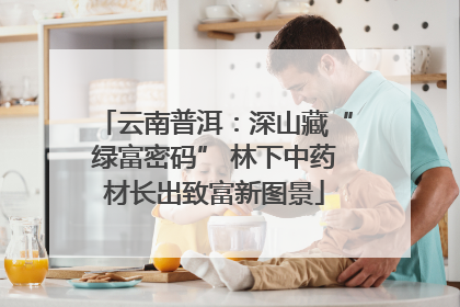 云南普洱：深山藏“绿富密码” 林下中药材长出致富新图景