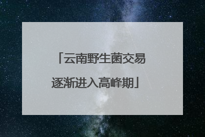 云南野生菌交易逐渐进入高峰期