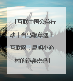 互联中国公益行动丨当马鞭草遇上互联网：昆明小渔村的逆袭密码