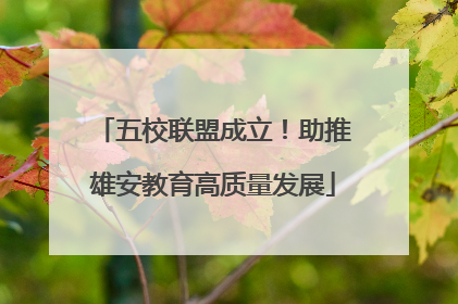 五校联盟成立！助推雄安教育高质量发展