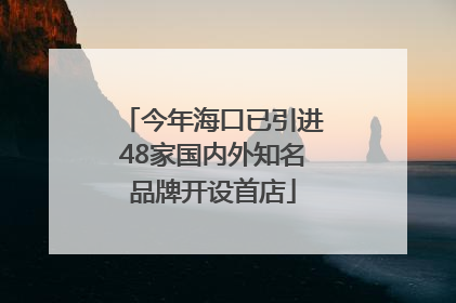 今年海口已引进48家国内外知名品牌开设首店