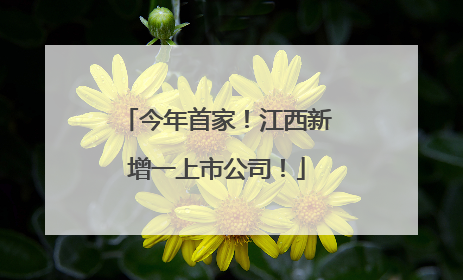 今年首家！江西新增一上市公司！