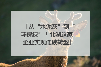 从“水泥灰”到“环保绿”！北湖这家企业实现低碳转型
