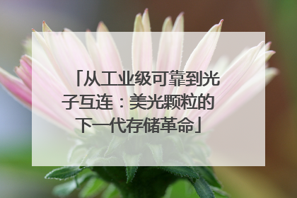 从工业级可靠到光子互连：美光颗粒的下一代存储革命