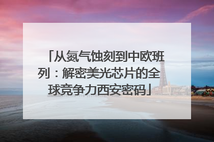 从氮气蚀刻到中欧班列：解密美光芯片的全球竞争力西安密码