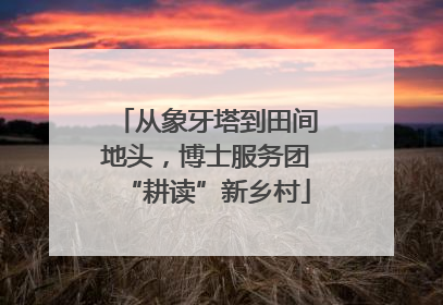 从象牙塔到田间地头，博士服务团“耕读”新乡村