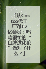 从Costco代工厂到1.2亿会员：鸣鸣很忙的“白牌进化论”做对了什么？