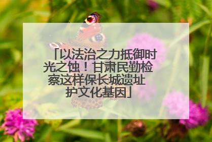 以法治之力抵御时光之蚀！甘肃民勤检察这样保长城遗址 护文化基因