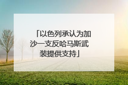 以色列承认为加沙一支反哈马斯武装提供支持