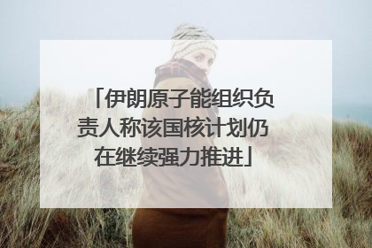 伊朗原子能组织负责人称该国核计划仍在继续强力推进