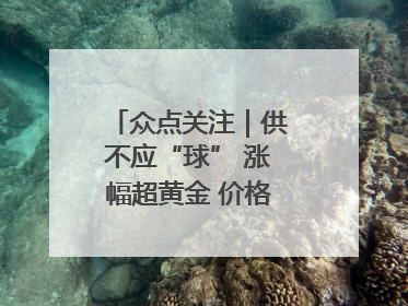 众点关注｜供不应“球” 涨幅超黄金 价格亲民的羽毛球为何身价飞涨？