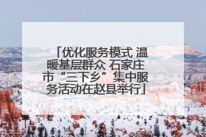 优化服务模式 温暖基层群众 石家庄市“三下乡”集中服务活动在赵县举行