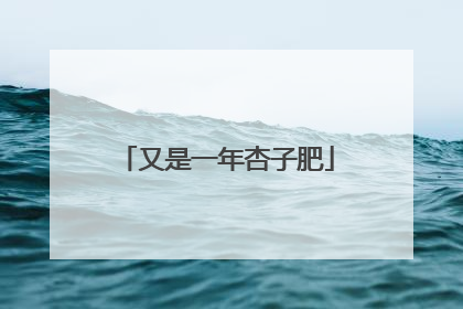 又是一年杏子肥