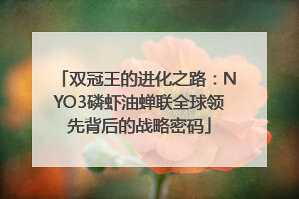 双冠王的进化之路：NYO3磷虾油蝉联全球领先背后的战略密码