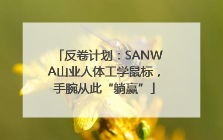 反卷计划：SANWA山业人体工学鼠标，手腕从此“躺赢”