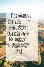 台前县凤台街道：“三向发力”优化营商环境 赋能企业发展新活力