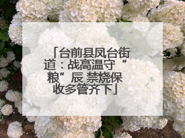 台前县凤台街道：战高温守“粮”辰 禁烧保收多管齐下