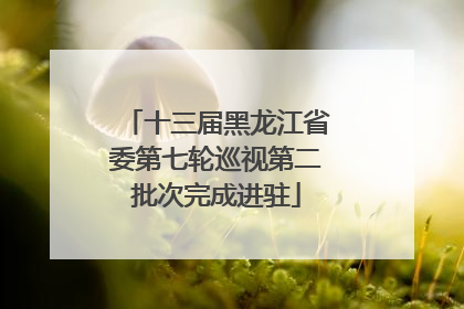 十三届黑龙江省委第七轮巡视第二批次完成进驻
