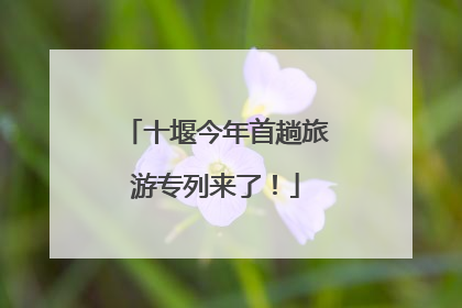 十堰今年首趟旅游专列来了！